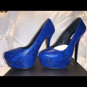 Steve Madden Delerius Blue Snake